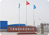 胜天国际