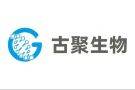 胜天国际