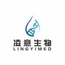 胜天国际
